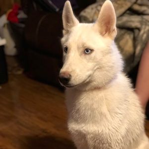 Meet your Posher, Jeremy